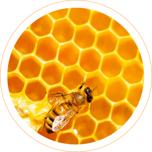 Мед ароматизатор жидкий