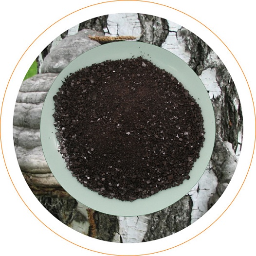 Чага экстракт